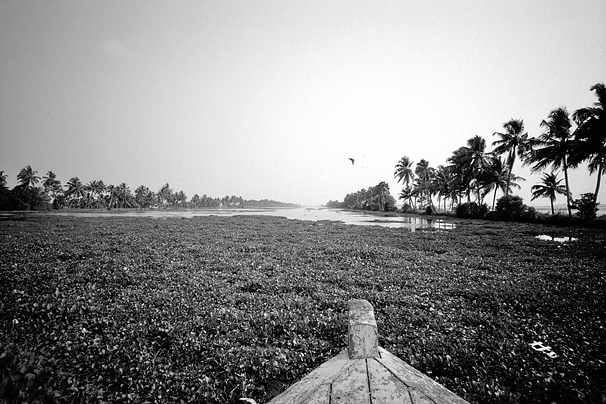 knsg_20101031b.jpg